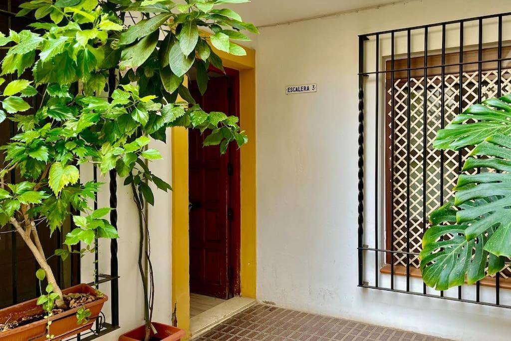 Apartamento Kenza Кордова Екстер'єр фото